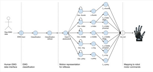 human_brain